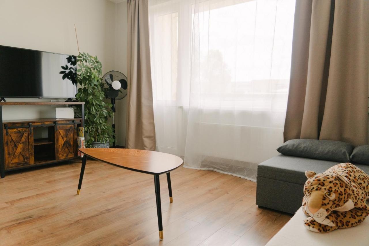 Apartment Warm & Cozy With Balcony In